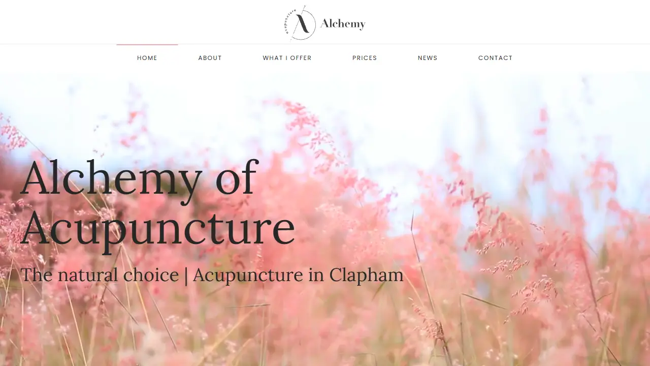 Alchemy Of Acupuncture