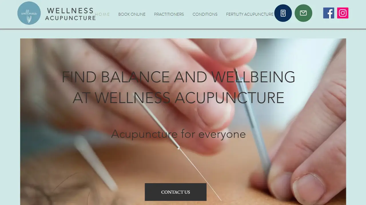 Wellness Acupuncture