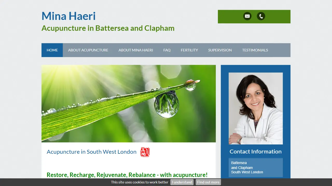 Mina Haeri Acupuncture