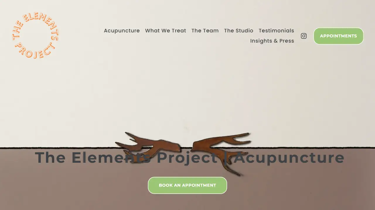 Acupuncture with The Elements Project