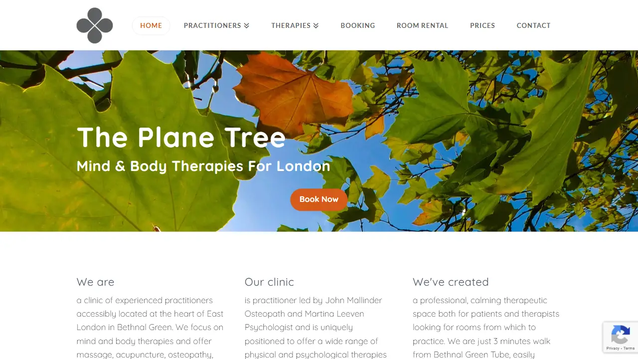 The Plane Tree