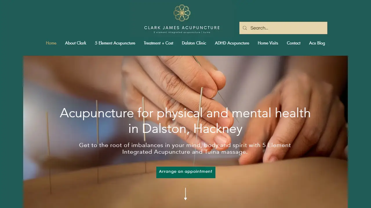 Clark James Acupuncture