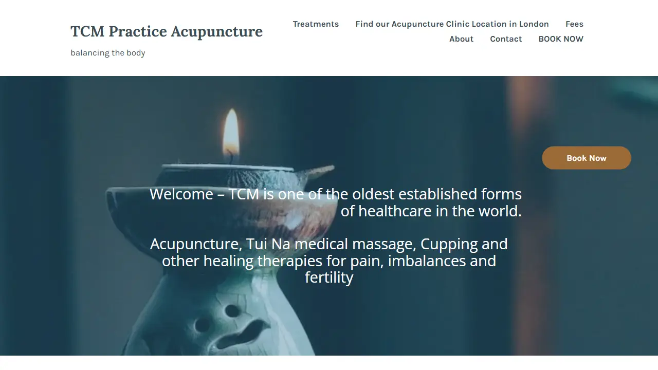 TCM Practice Acupuncture / Old Street