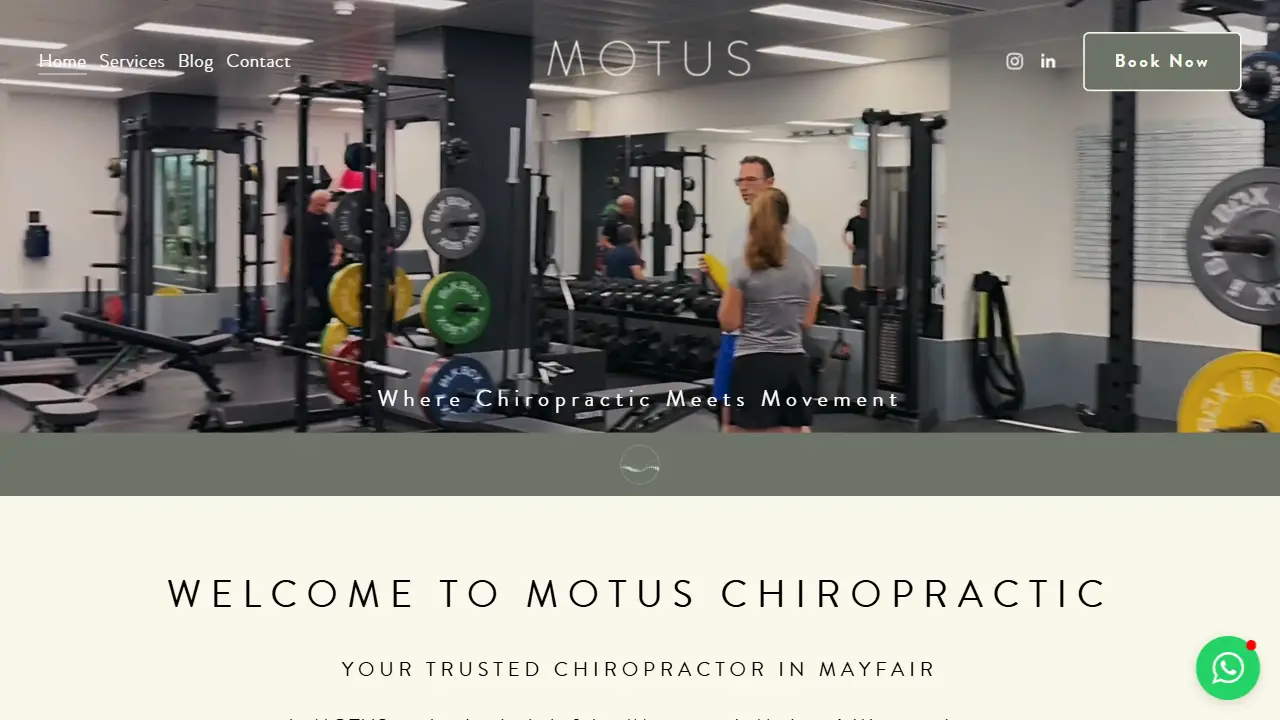 MOTUS Chiropractic