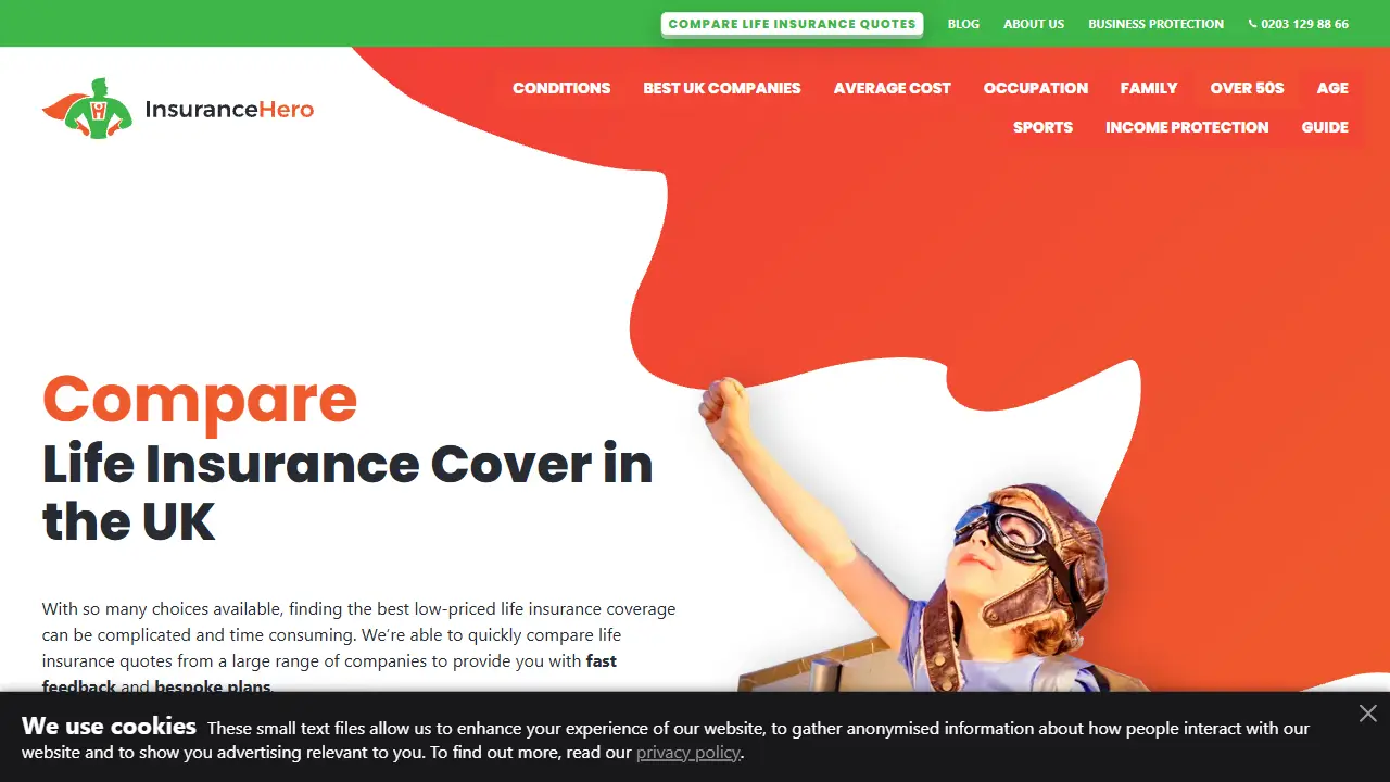 Insurance Hero