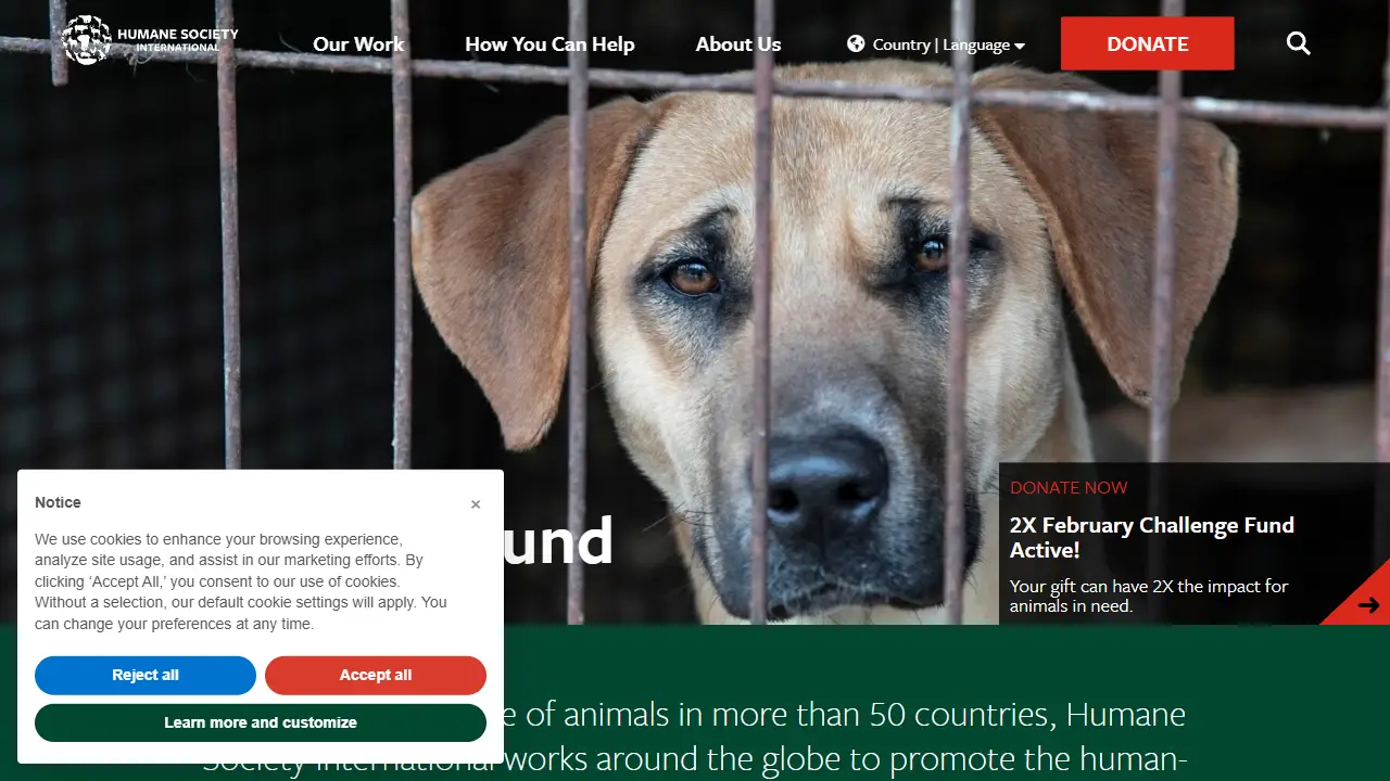 Humane Society International/UK