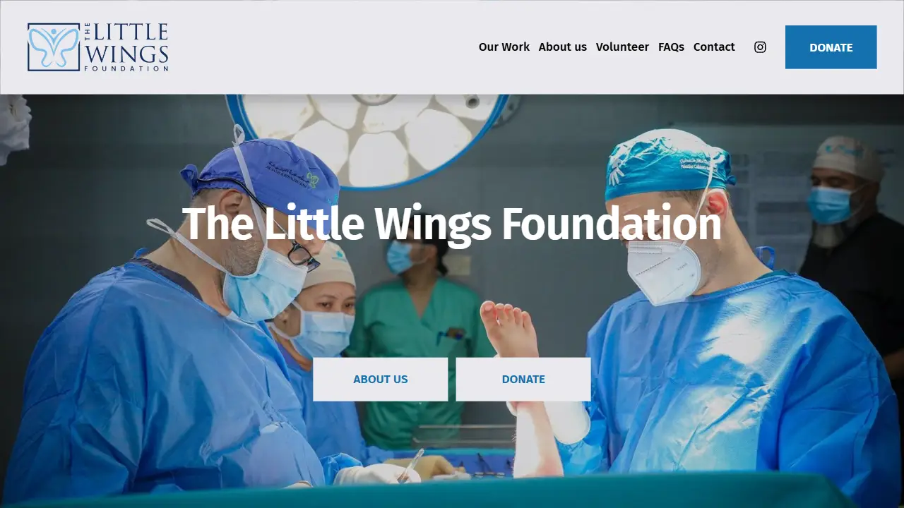 The Little Wings Foundation