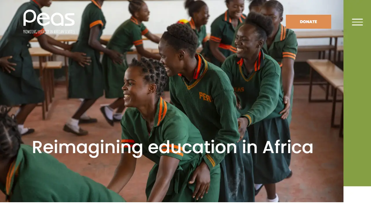 PEAS-Promoting Equality in African Schools