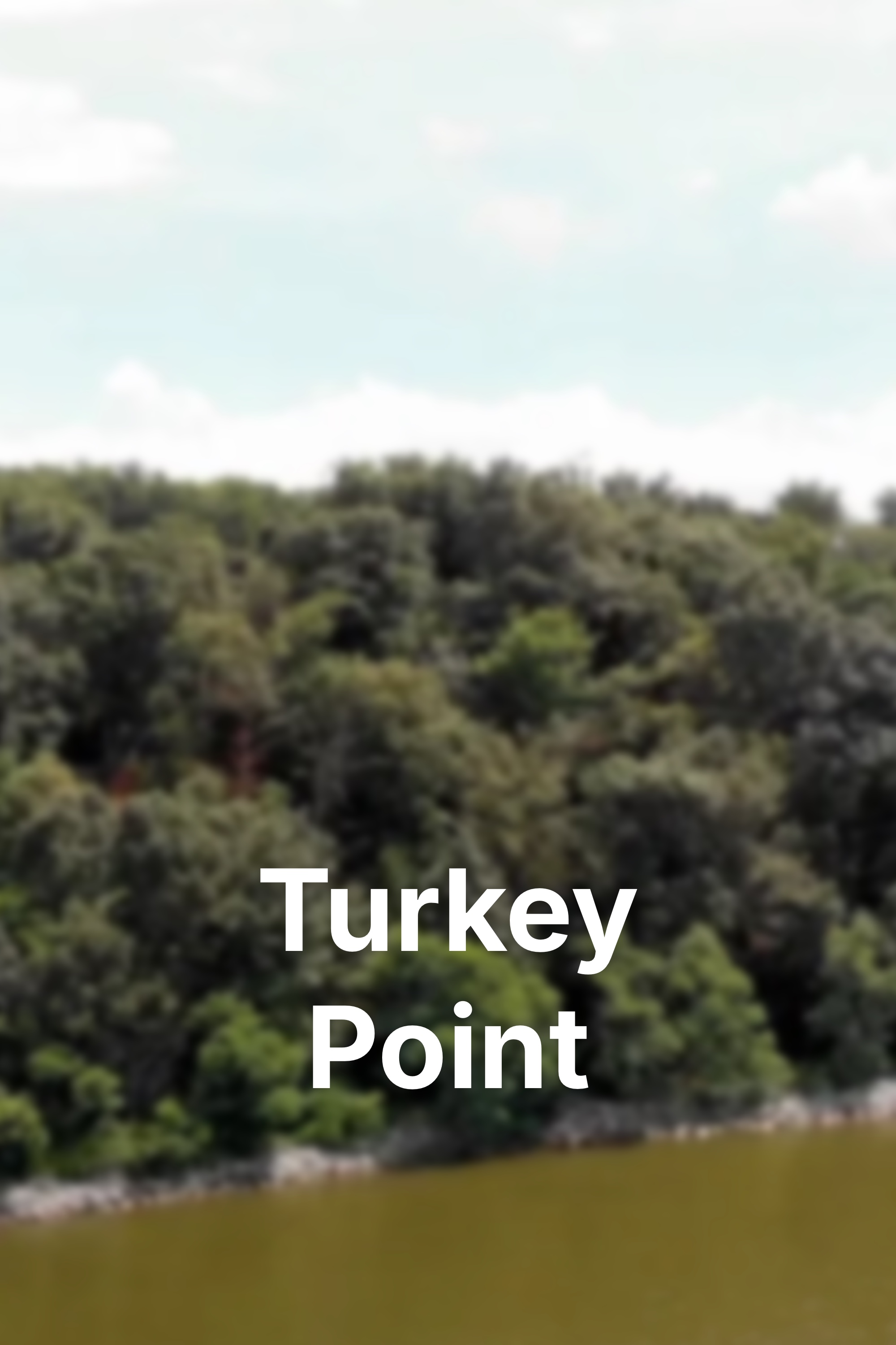 Turkey Point