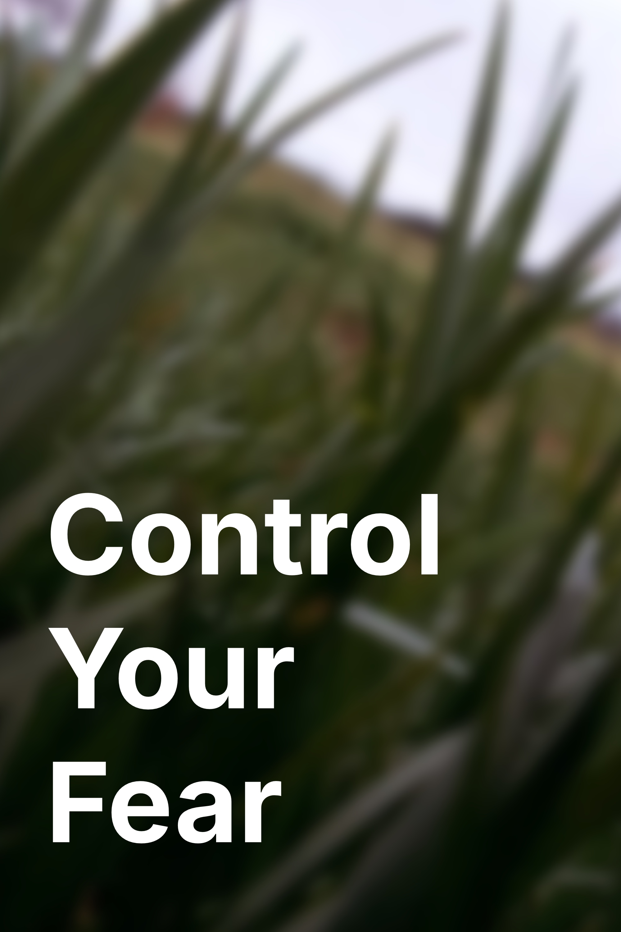 Control your Fear