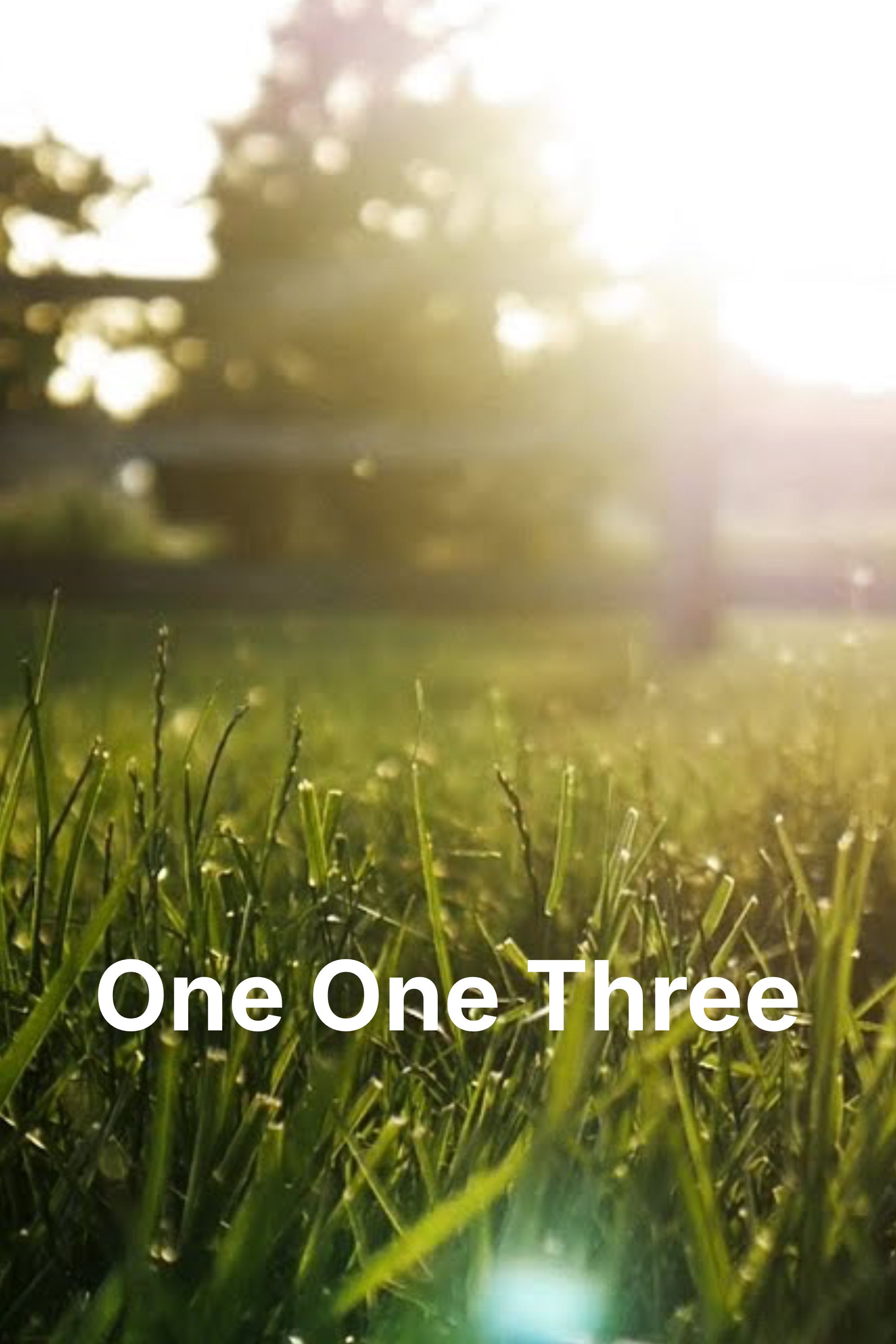 One One Three