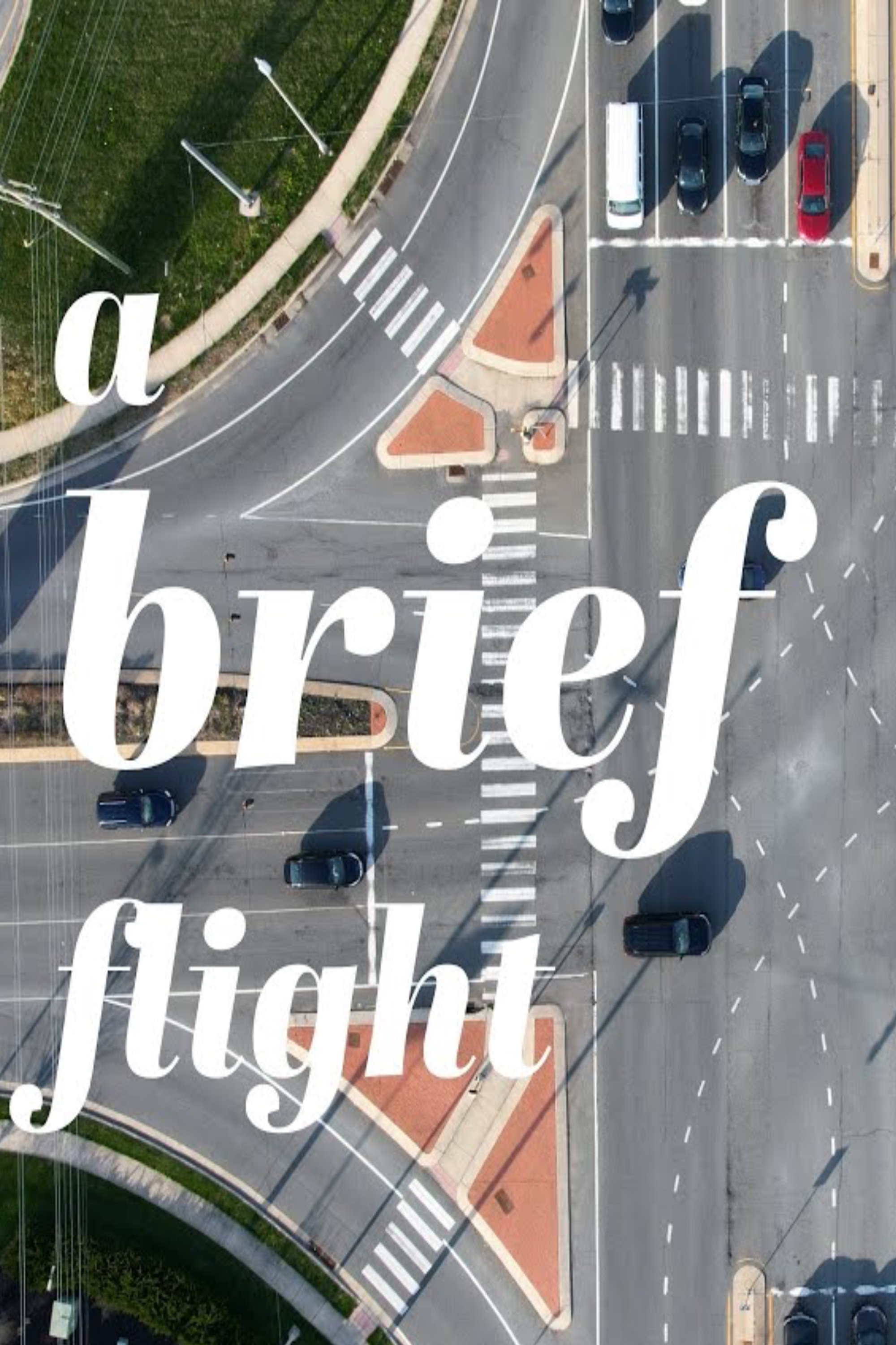 A Brief Flight