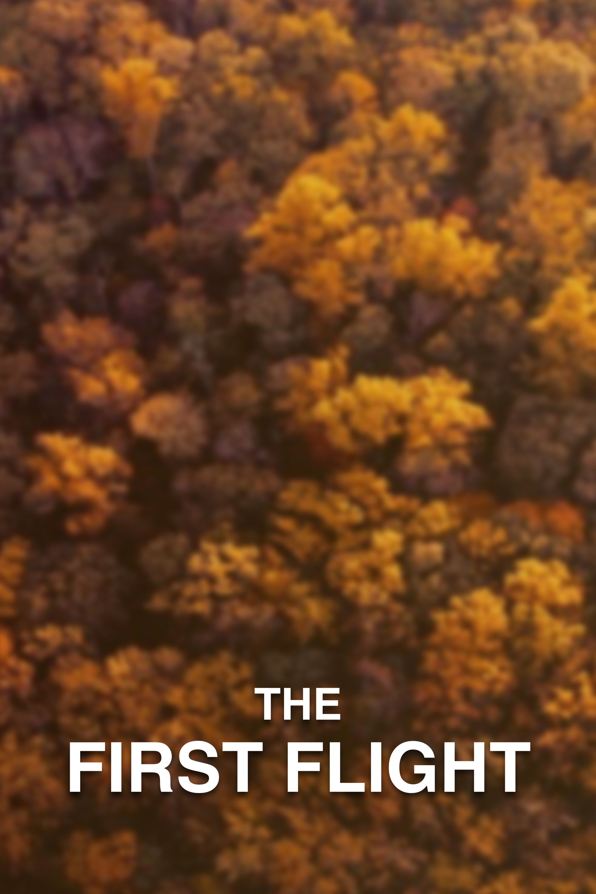 The First Flight