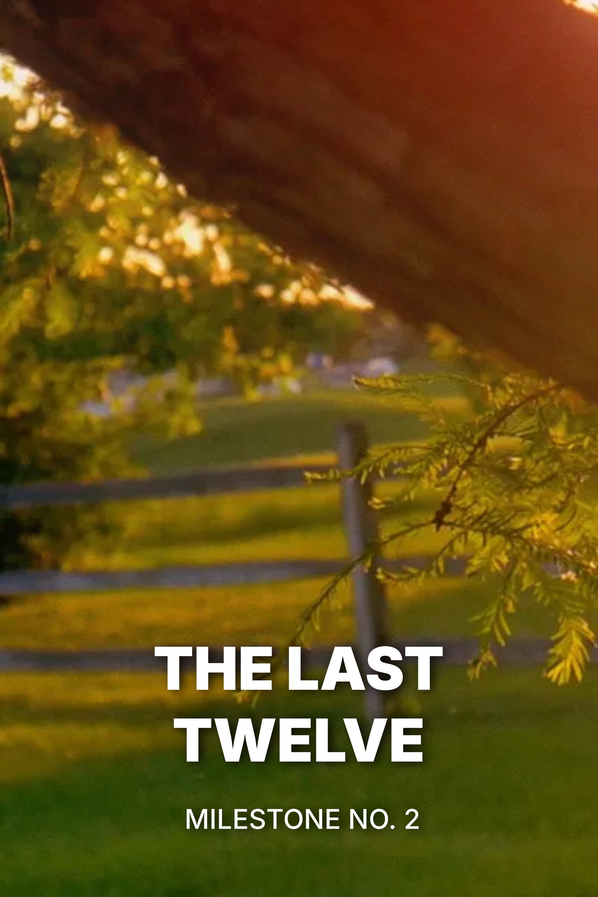 The Last Twelve