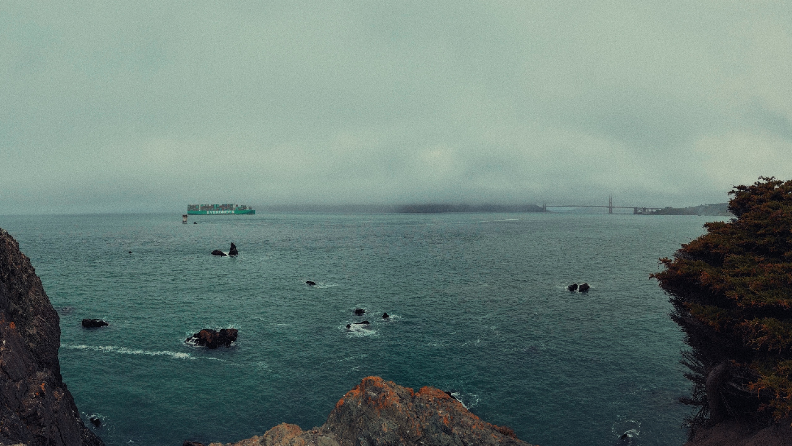 San Francisco Summer