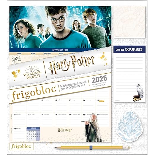 Frigobloc Mensuel Harry Potter