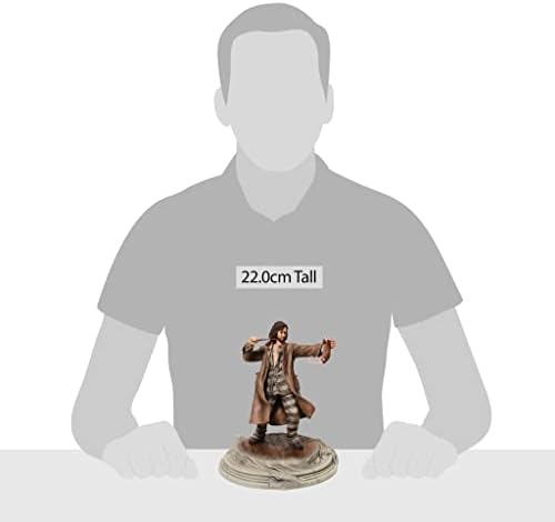 Vue 3 de Enesco Statue Sirius Black