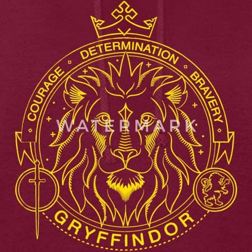 Vue 2 de Harry Potter Lion Gryffondor