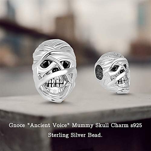 Vue 2 de Charm Tete De Mort