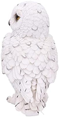 Vue 2 de Nemesis Now Snowy Watch