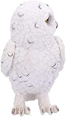 Vue 4 de Nemesis Now Snowy Watch