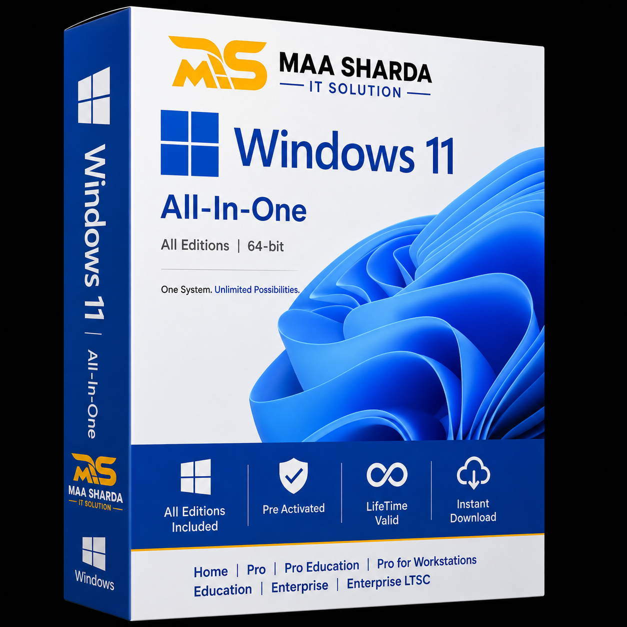 Microsoft Windows 11 All in One 