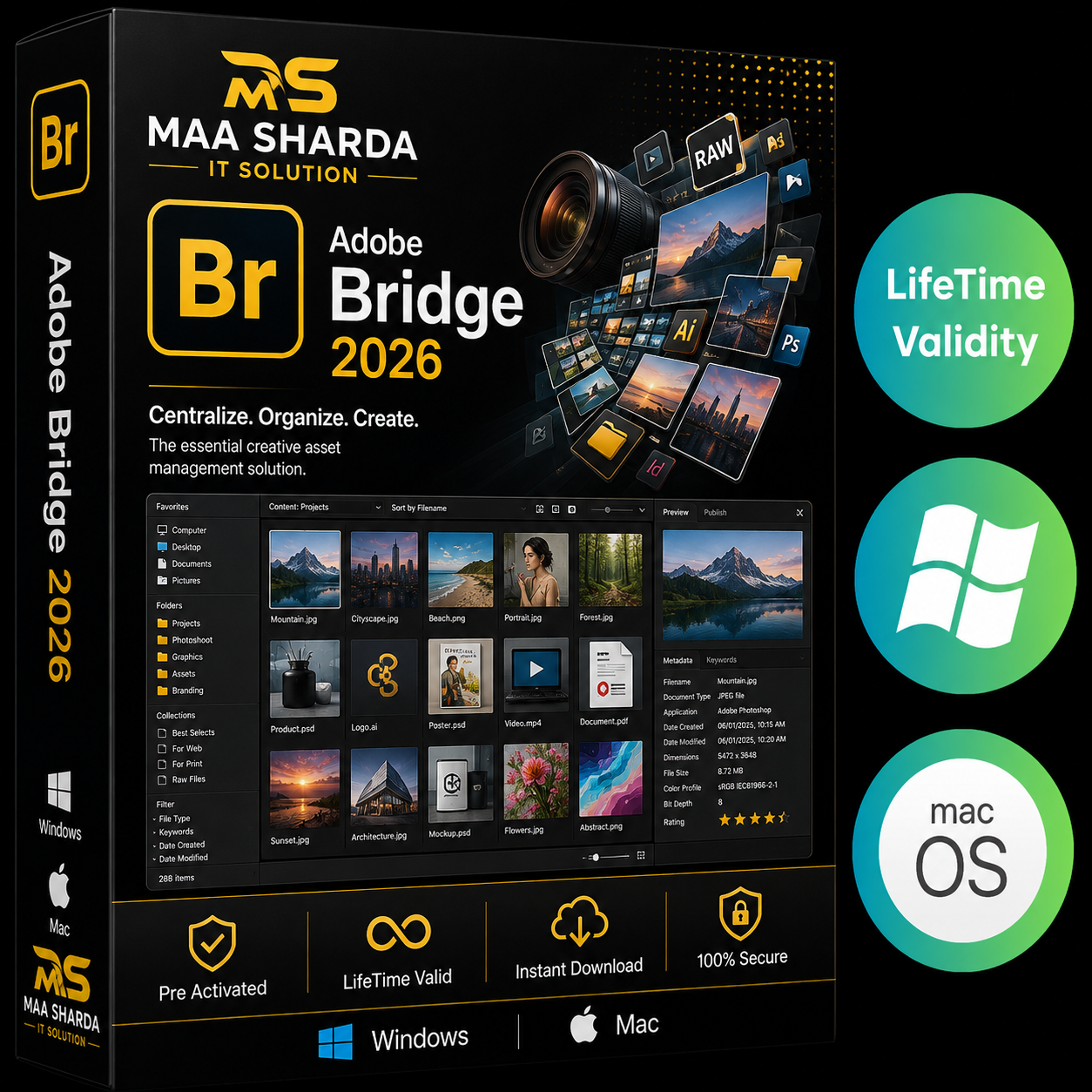 Adobe Bridge 2026 