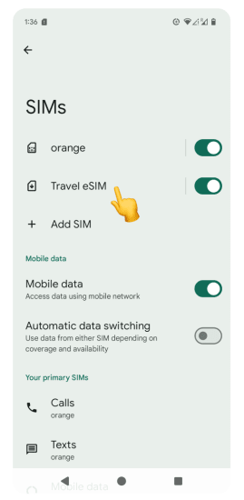 SIMs settings screen with Travel eSIM highlighted for selection