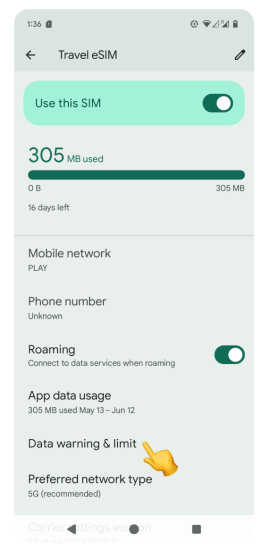 Travel eSIM details screen showing data usage and Data warning & limit option highlighted