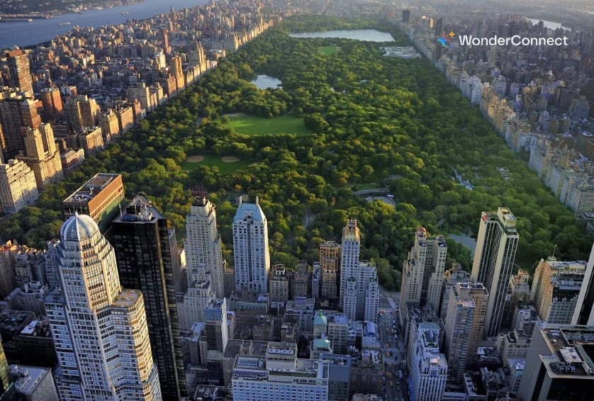 ที่เที่ยวนิวยอร์ก Central Park