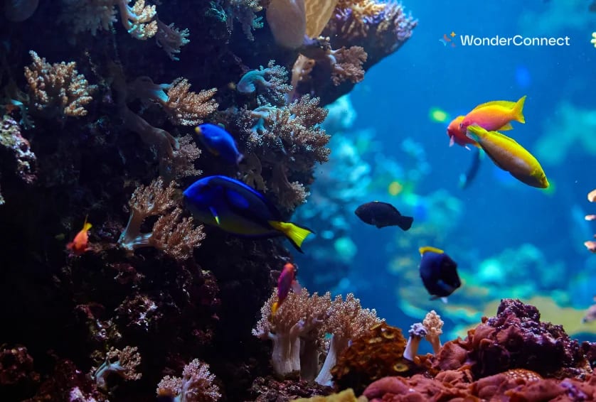 Things to Do in Pattaya Underwater World