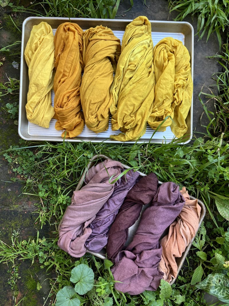 Naturally dyed silk with weld extract and osage orange chips