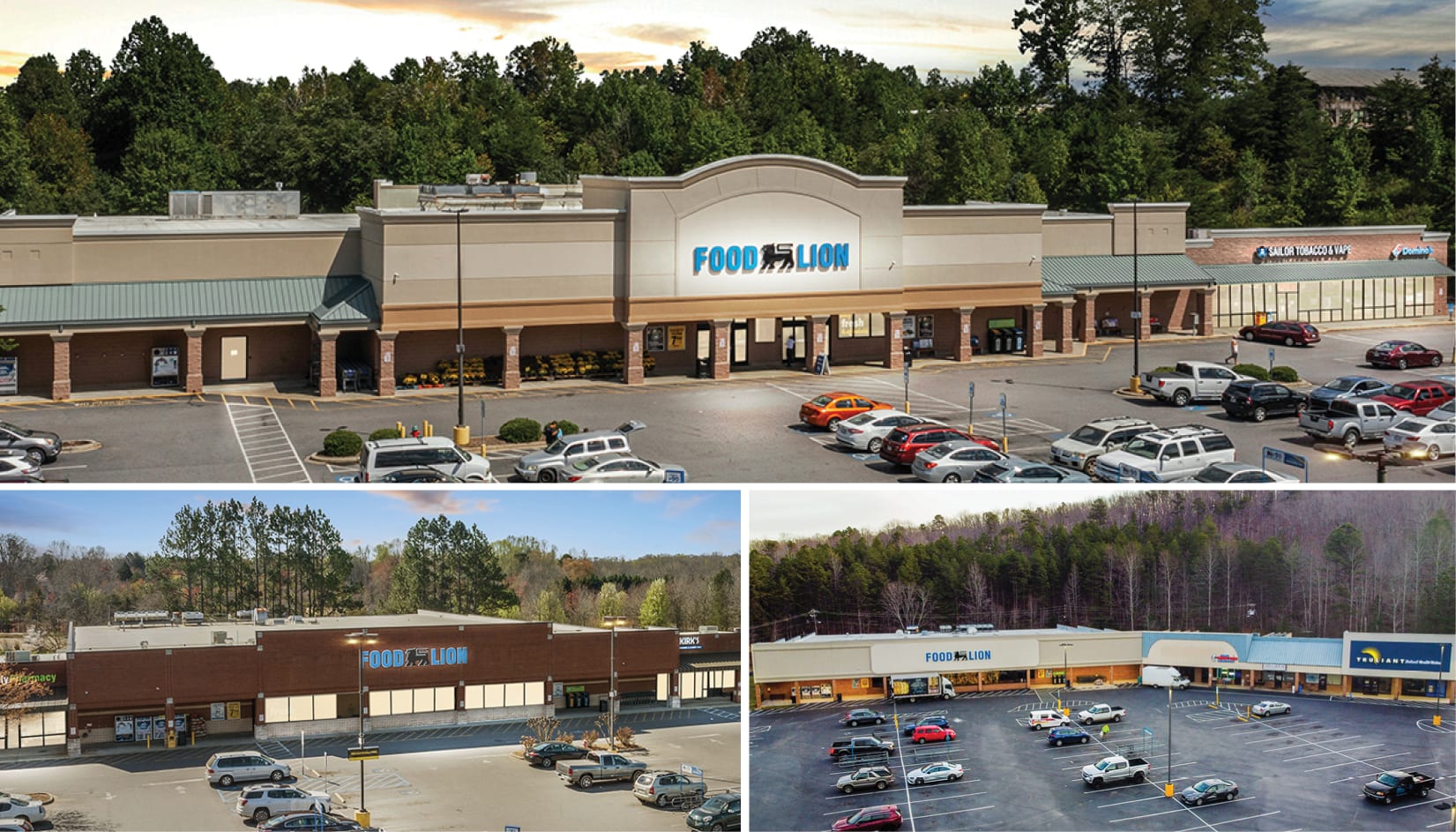 food lion tobacco road JUST SOLD! | Off-Market North Carolina Food Lion Portflio