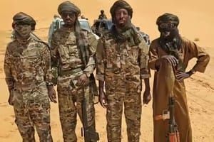 Niger: on en rit ou on en pleure ?