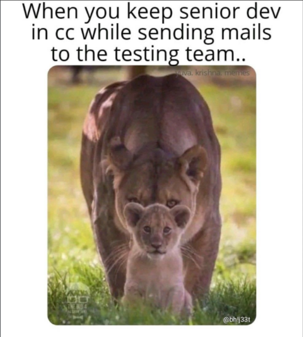 When you inherit legacy code: // TODO: refactor this later (written 5 years ago) 🏚️ #legacycode #refactoring #programming