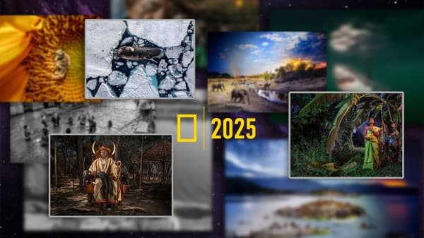 Chùm ảnh từ National Geographic: Những bức hình truyền cảm hứng nhất năm 2025