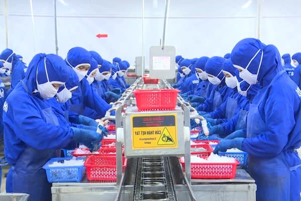 Ngành thủy sản tỷ USD: "Người khổng lồ" hụt hơi trên đường đua xanh?