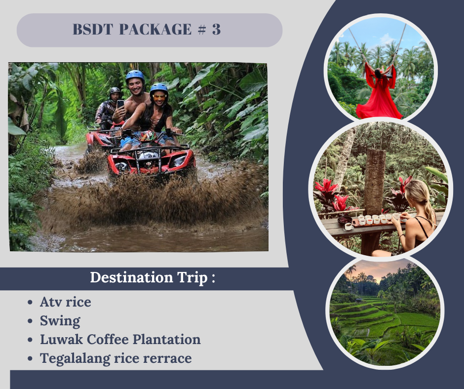 PAKET 8