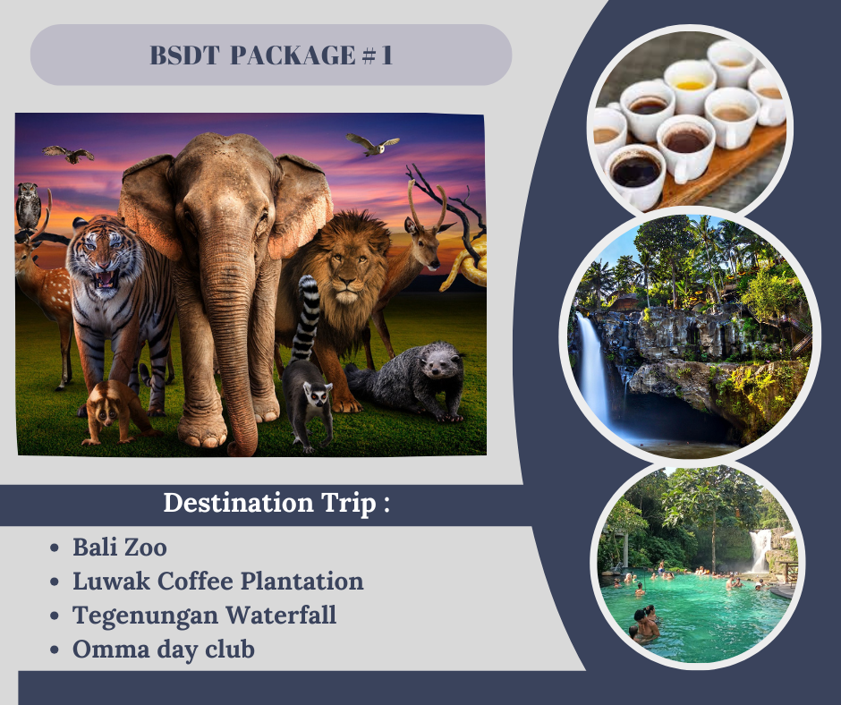 PAKET 1