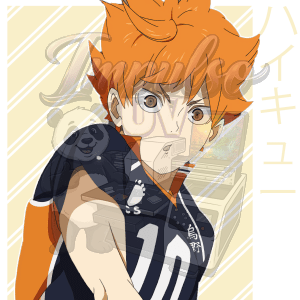Shouyou Hinata 6