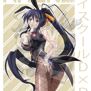 Akeno Himejima 2