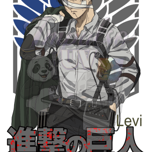 levi