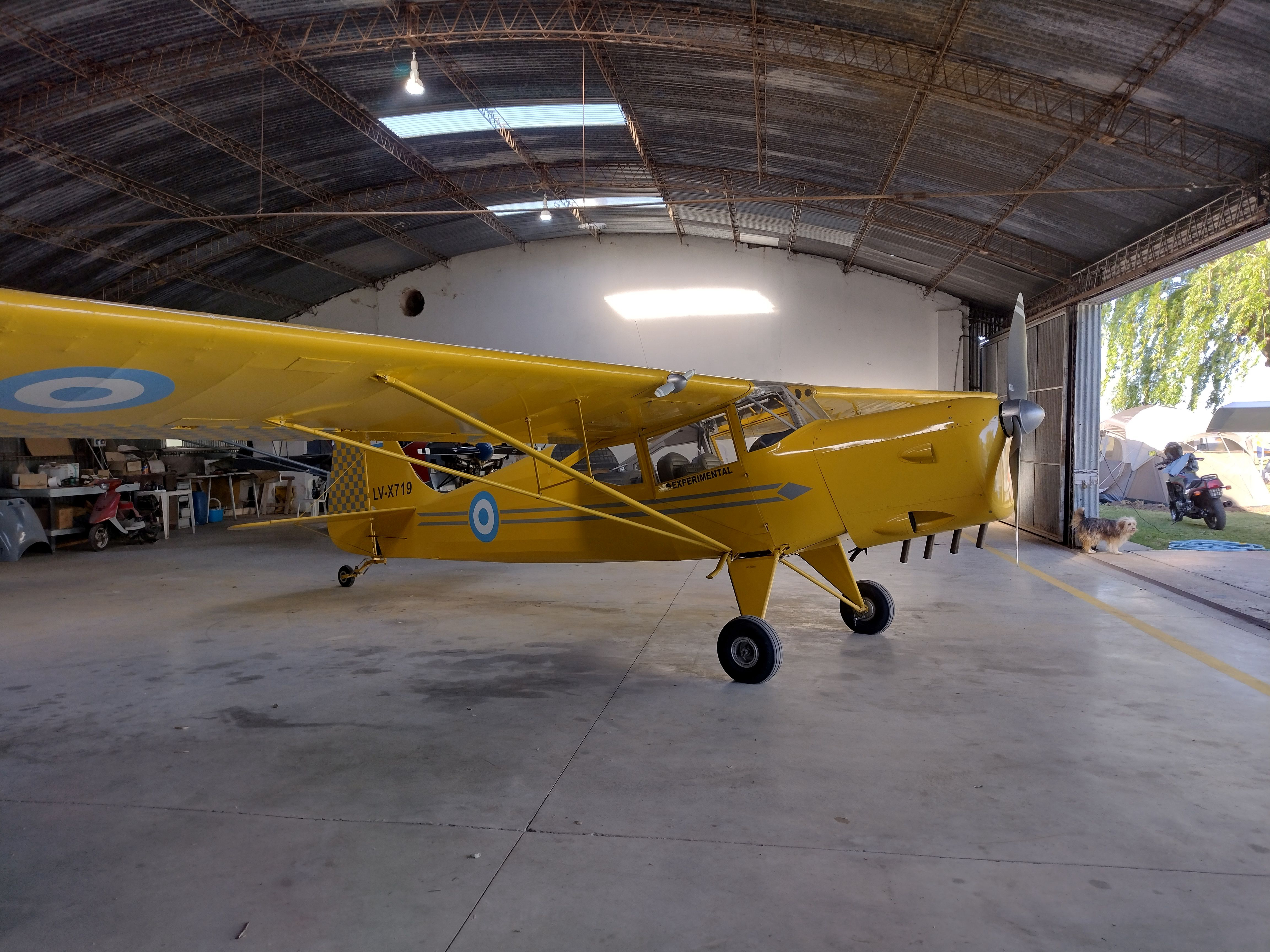 Vendo Auster de colección