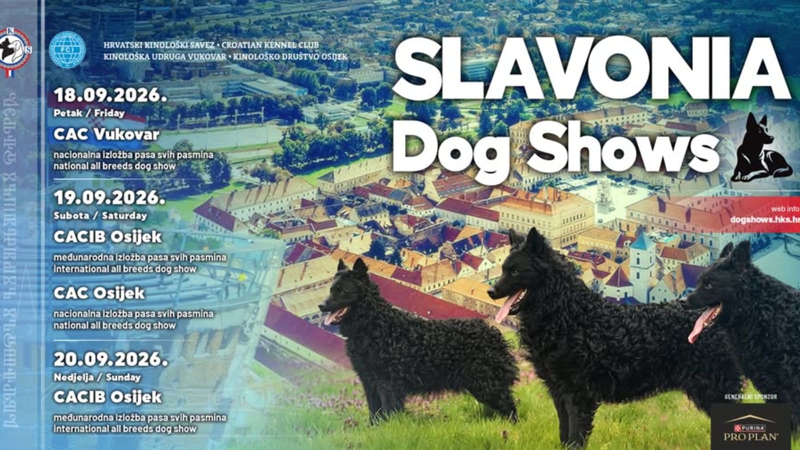 CACIB Osijek / international dog show