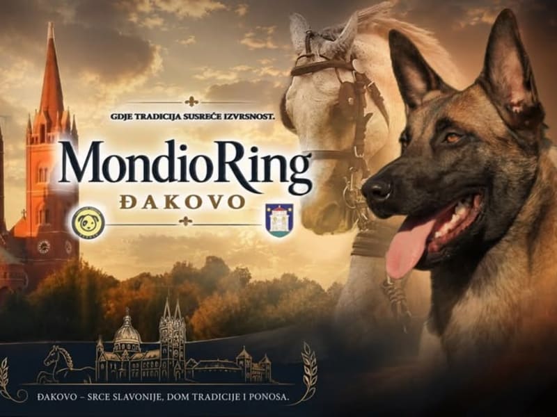 1. Mondioring turnir u Đakovu