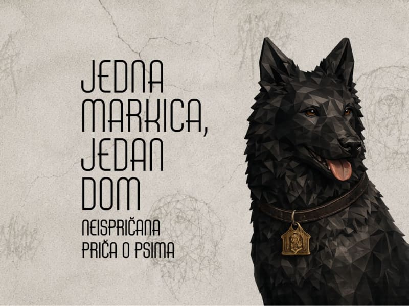 Muzej Slavonije: Izložba 'Jedna markica, jedan dom' - Neispričana priča o psima