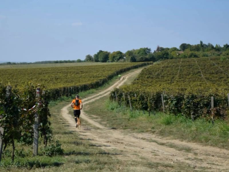 Podunavlje Trail