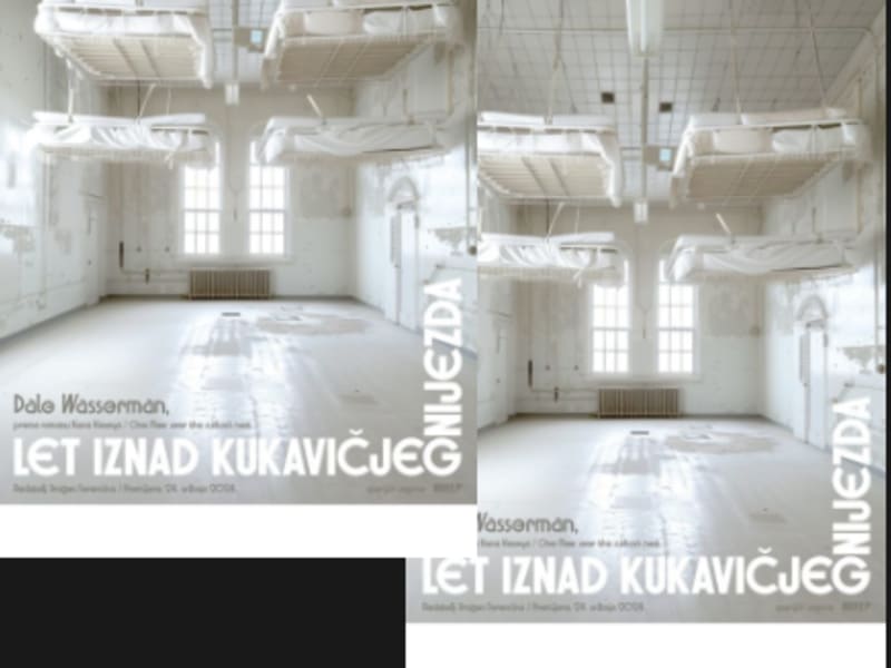 Let iznad kukavičjeg gnijezda