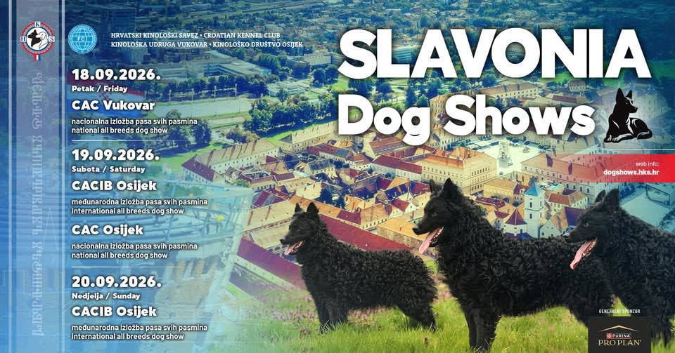 CAC Osijek / national dog show