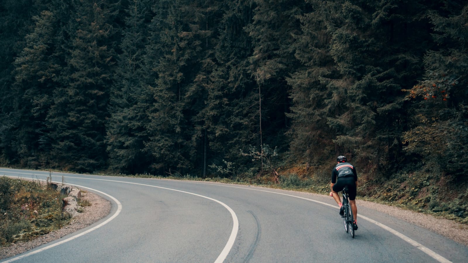 Gran Fondo Zlatni Papuk